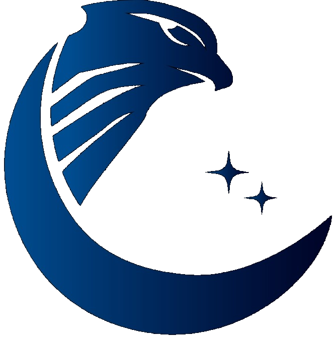 Hawk'N Technologies
